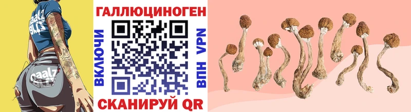 Галлюциногенные грибы мицелий  Спасск 